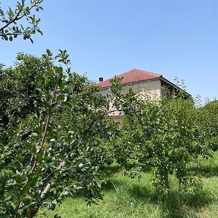 Villa Mance Berat Kültér fotó