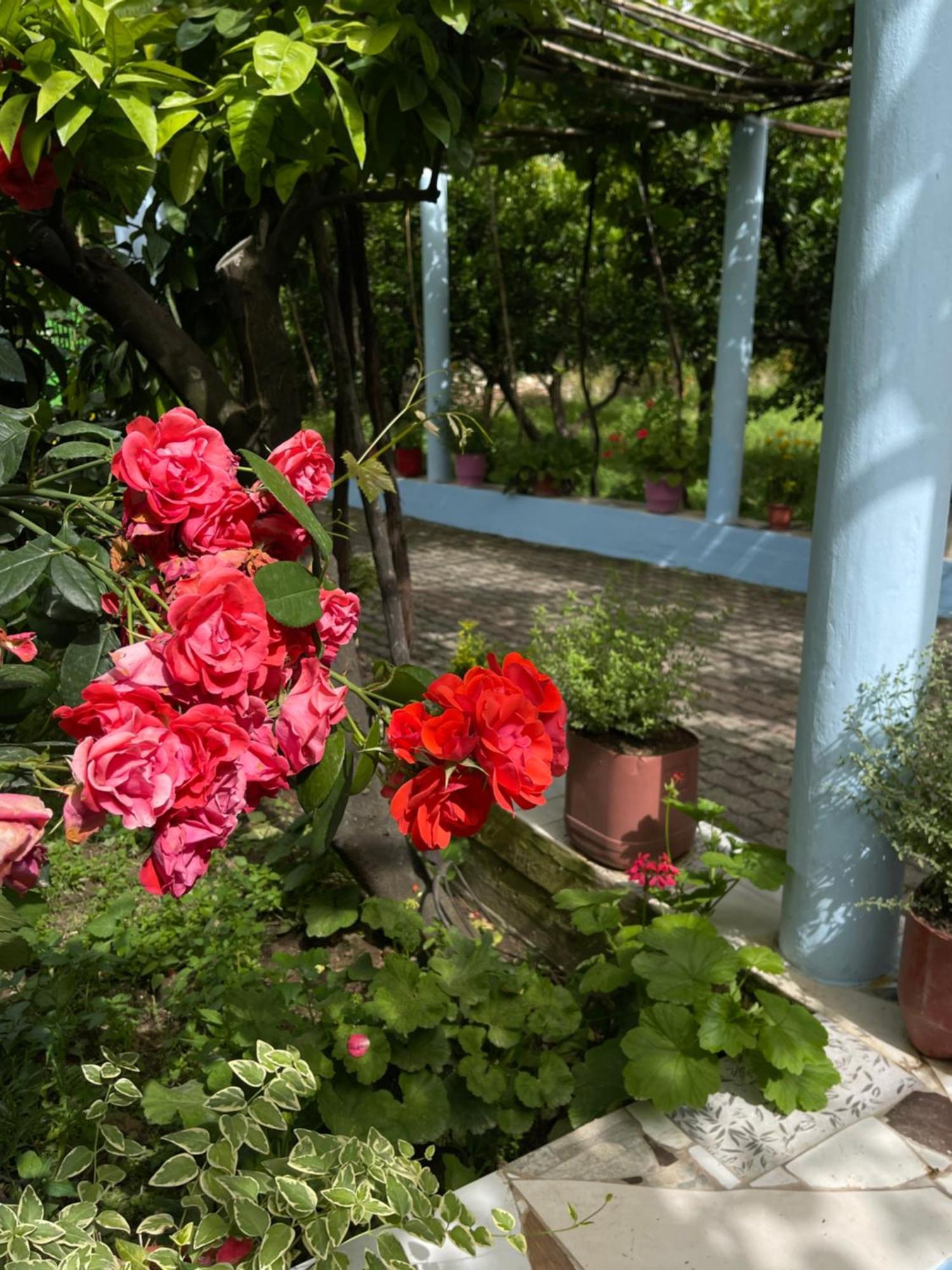 Villa Mance Berat Kültér fotó