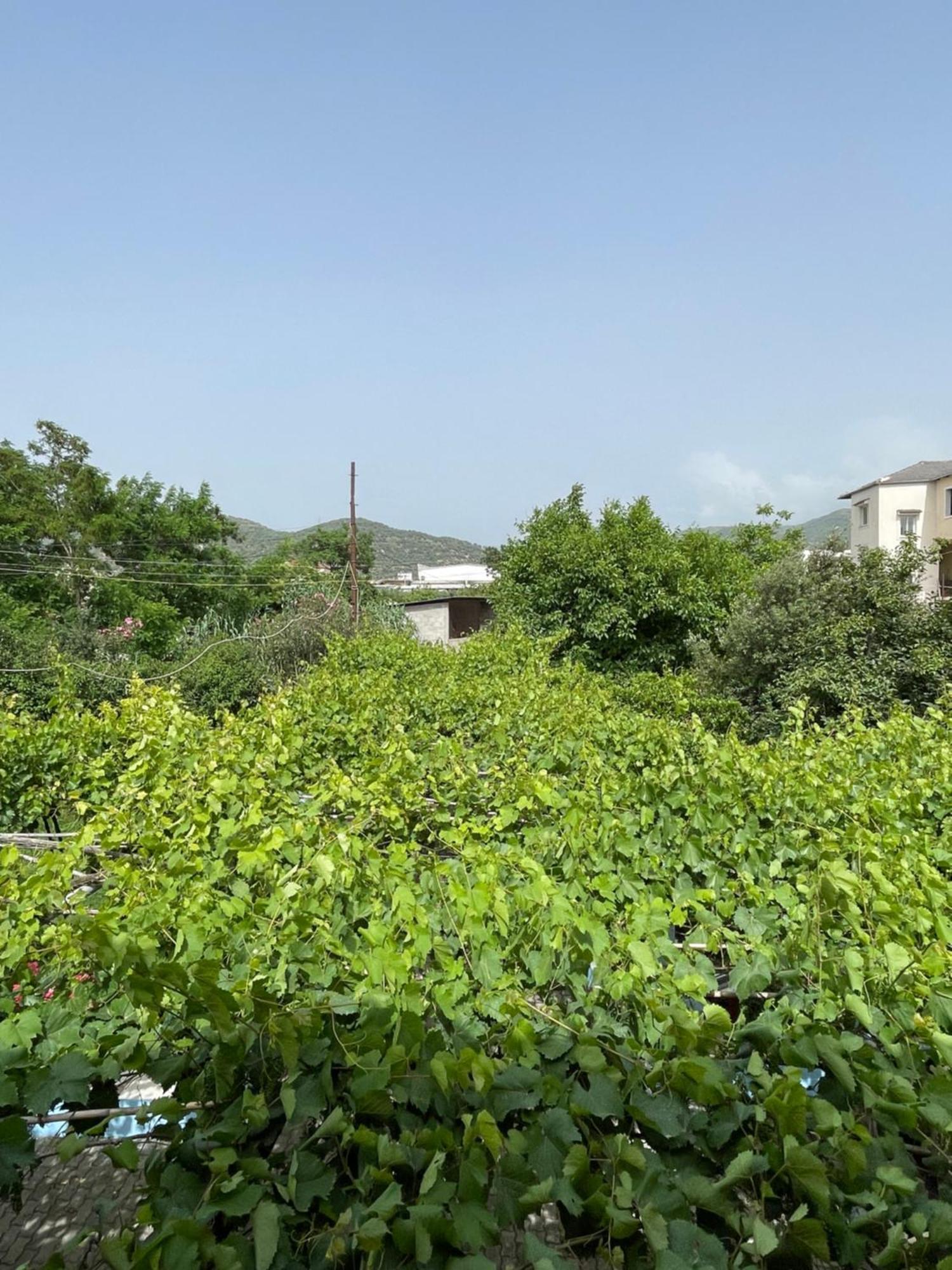 Villa Mance Berat Kültér fotó